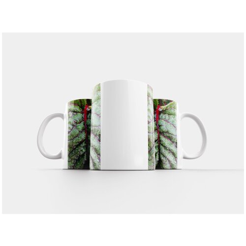 фото Кружка "свекла, овощ, сад" 320 мл lotsprints