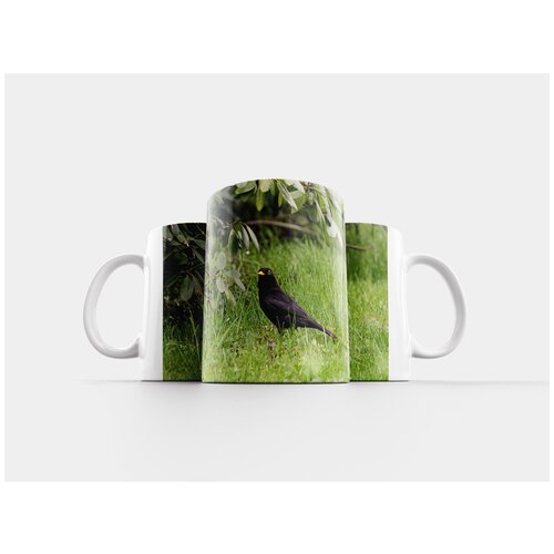 фото Кружка "черный дрозд, певчая птица, луг" 320 мл lotsprints