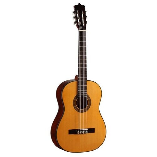Классическая гитара Martinez FAC-603