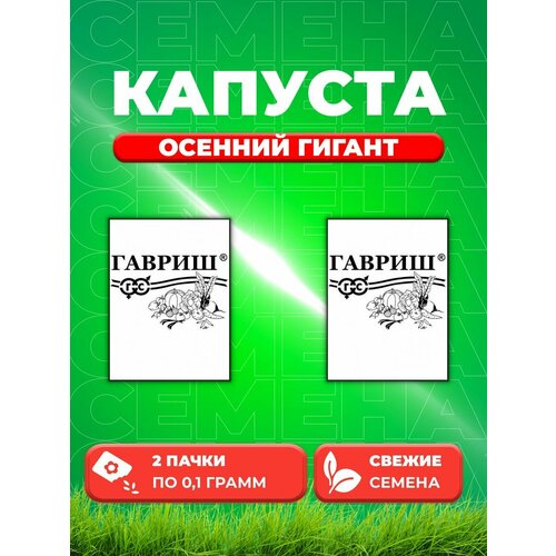 Капуста цветная Осенний гигант, 0,1г, Гавриш, Б/п(2уп) семена капуста б к колобок гавриш 0 1гр