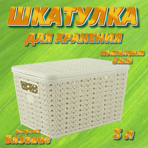 Шкатулка пластиковая с крышкой для хранения вещей 