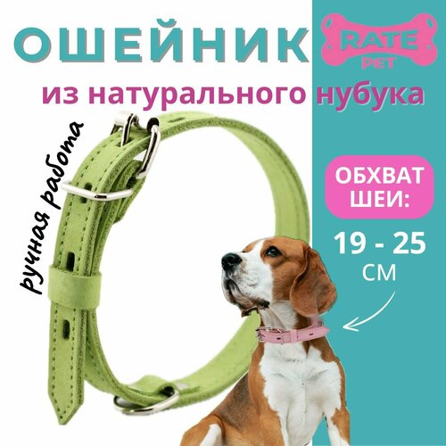 Ошейник для собак кожаный (нубук), обхват шеи 19-25 см, салатовый