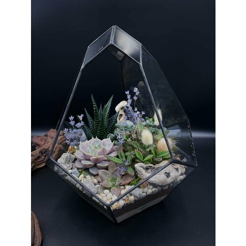 Флорариум с суккулентами от Flolefor Лавандовое поле 7400₽