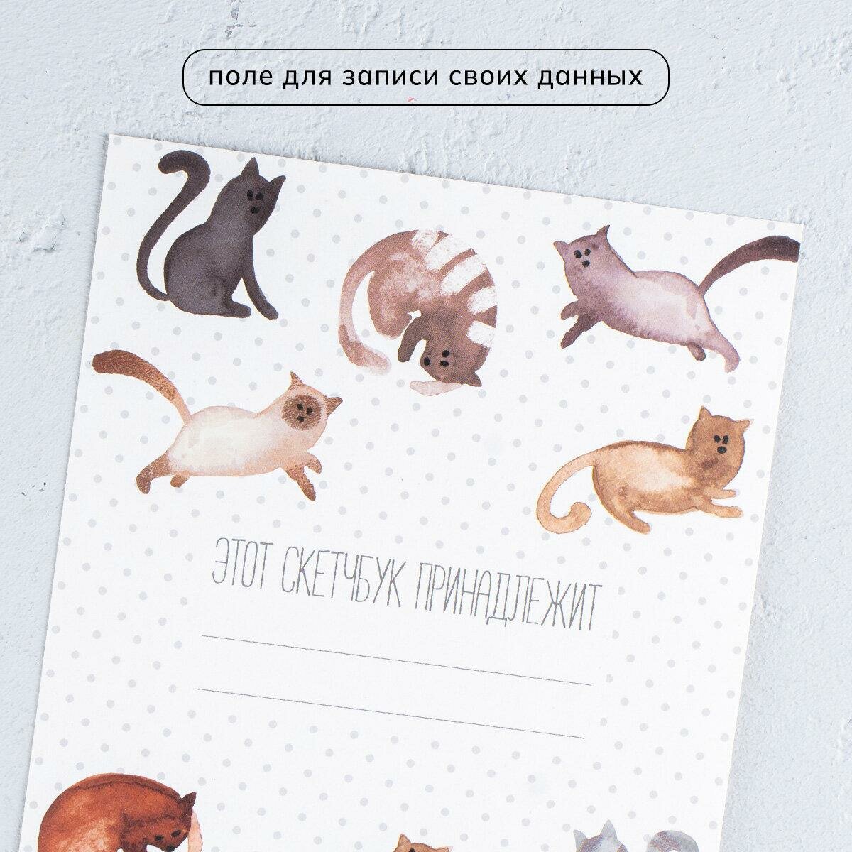 ArtFox Скетчбук "Кот" А5, 40 л, 100 г/м, состав: бумага, картон — фото 1