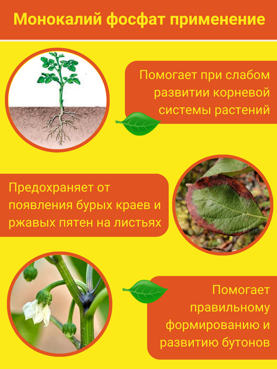 Удобрения Для Растений Удобрение Монокалийфосфат (Монофосфат калия), 20 грамм, 1 упаковка 20 г.