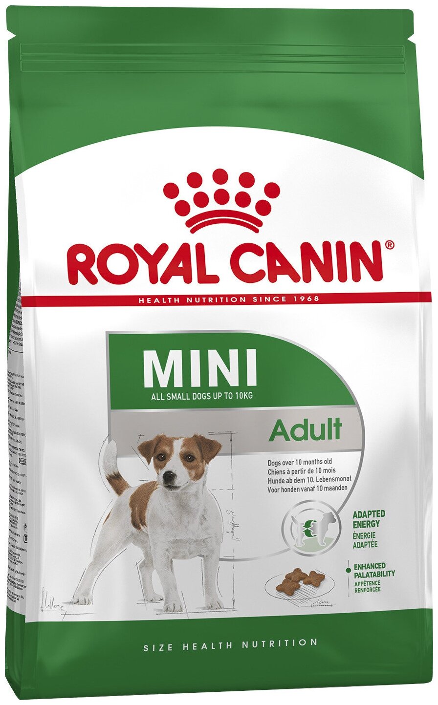 Royal Canin, сухой корм для взрослых собак мелких пород, Мини Эдалт, 800 г