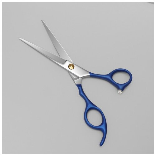Ножницы парикмахерские с упором «Premium», лезвие — 6,5 см, цвет серебристый/синий