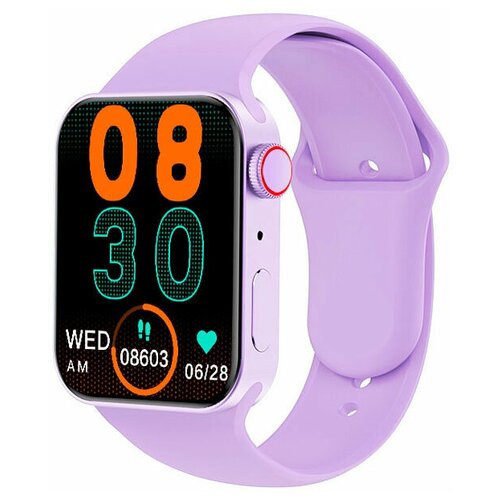 BandRate Smart BRST100FF 425000₽