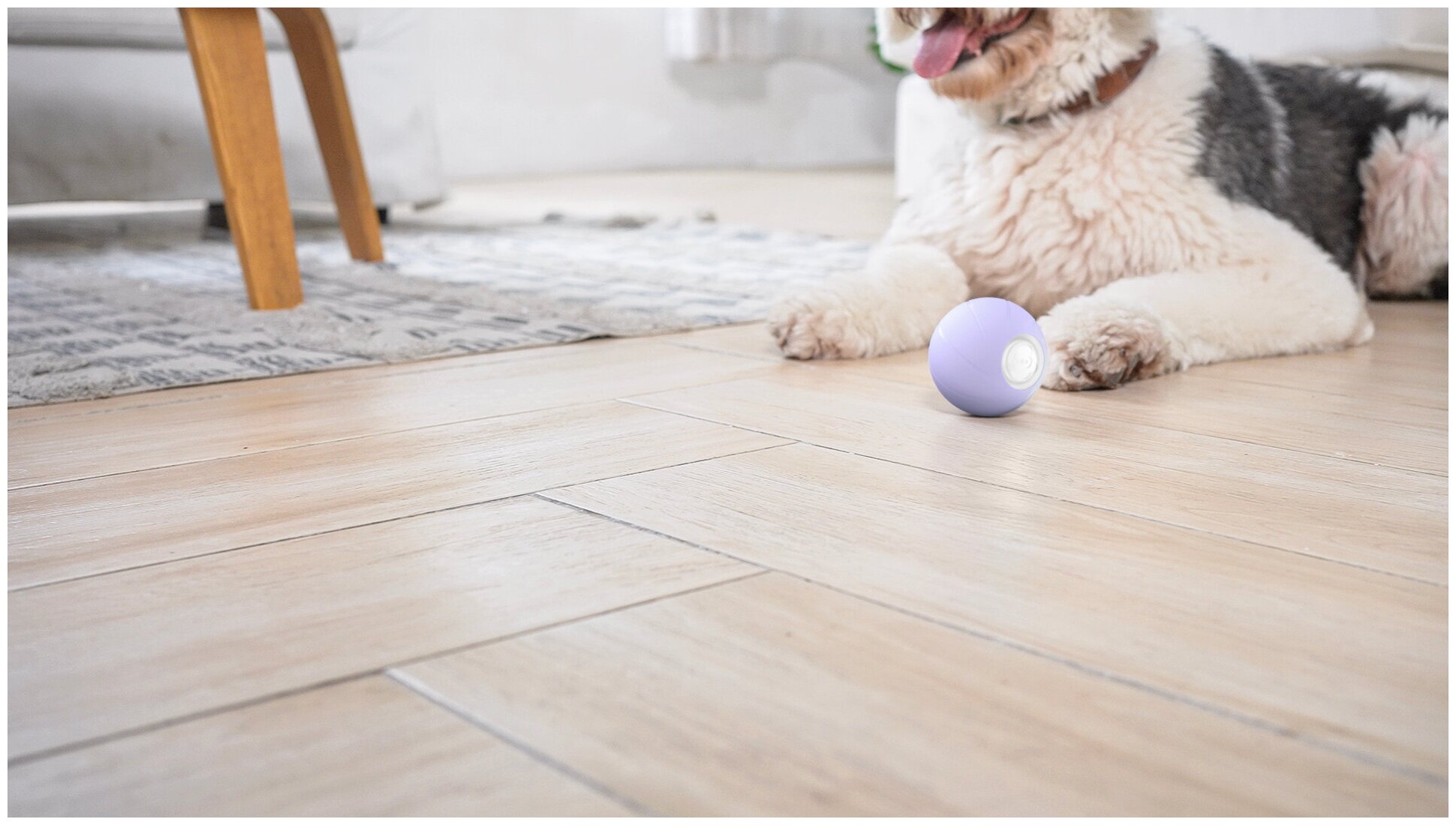 Cheerble Wicked Ball PE интерактивная умная игрушка резиновый мяч для собак из натурального каучука для средних, крупных пород более 15кг, USB зарядка - фотография № 10