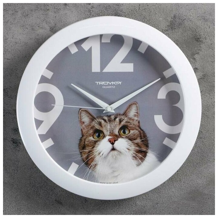 Часы настенные, интерьерные, серия: Животный мир, "Кот", d 29 см, белый обод