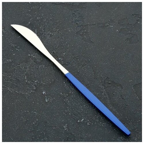 Нож столовый Magistro «Блинк», 22 см, цвет серебряный, синяя ручка, на подвесе