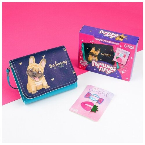 Набор для девочки Лучший друг: сумка с заколками, голубой/розовый./В упаковке шт: 1