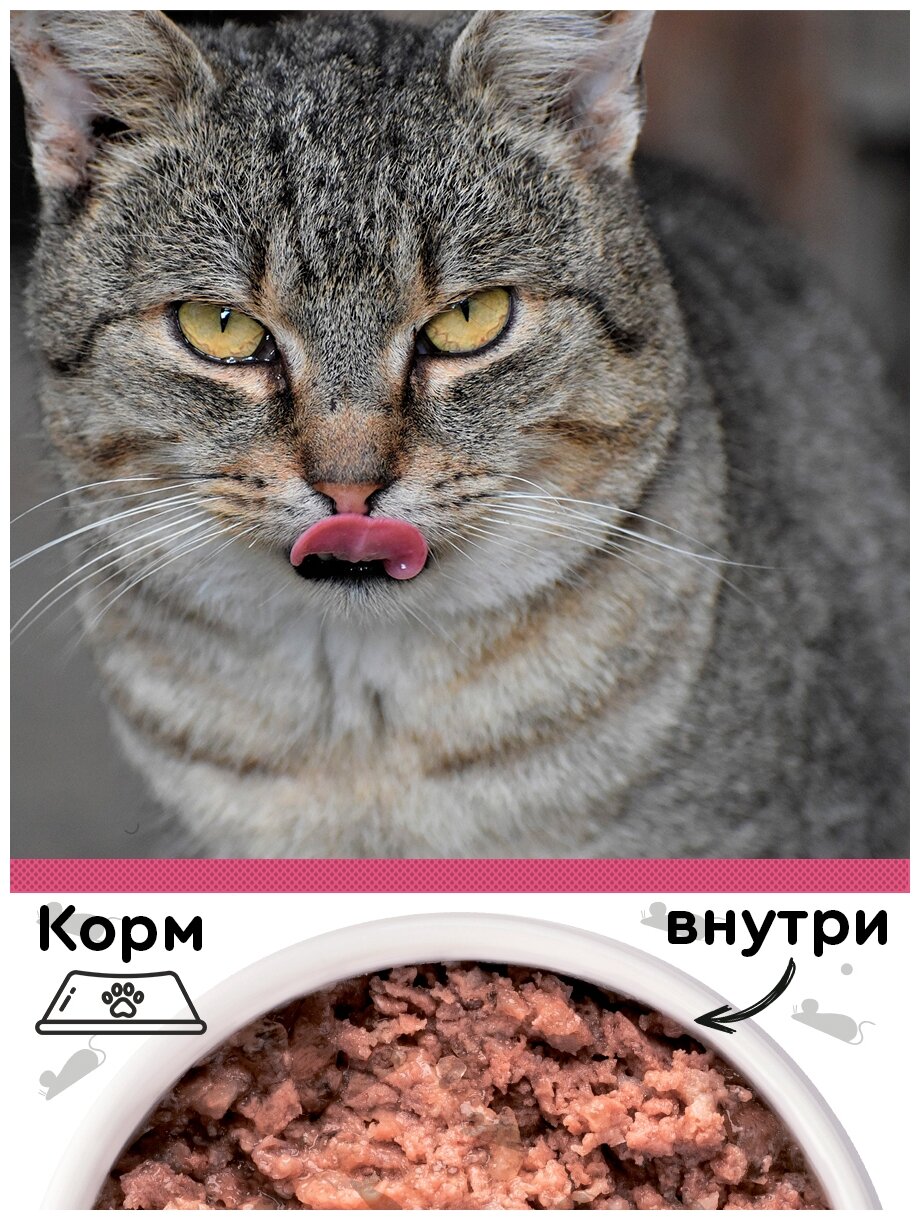 Корм влажный для стерилизованных кошек вкусмясина "Кусочки с говядиной в соусе" (пауч), 85 г х 28 шт. - фотография № 4