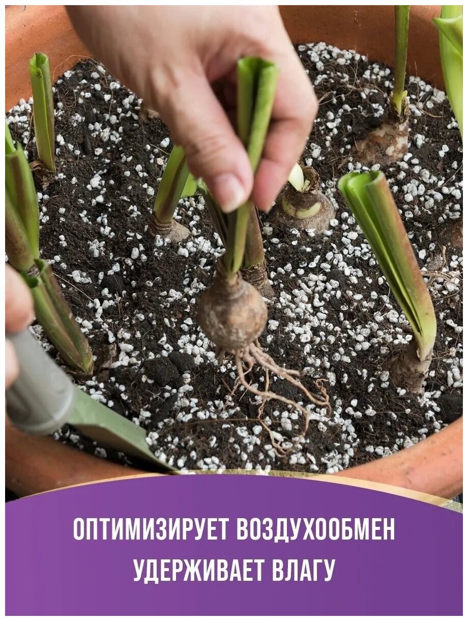 Агроперлит для растений, 1 л, Зелёный метр - фотография № 4