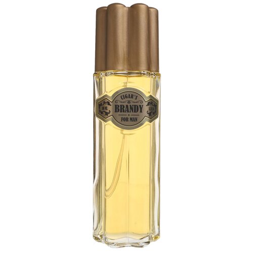 Today Parfum туалетная вода Cigar's Brandy, 100 мл, 248 г