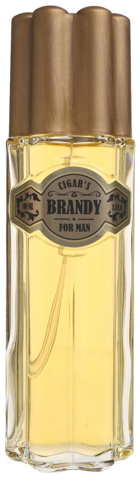 Today Parfum туалетная вода Cigar's Brandy, 100 мл
