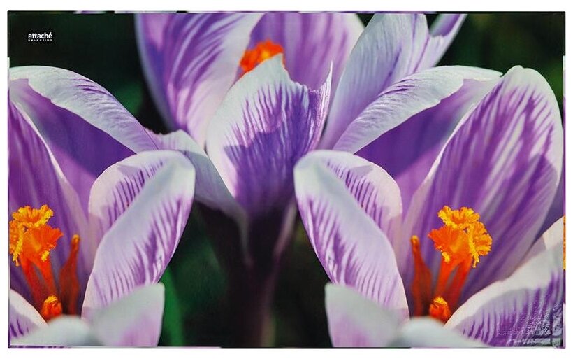 Настольное покрытие Коврик на стол Attache Selection 35x59см СROCUS цветок, ламиниров картон