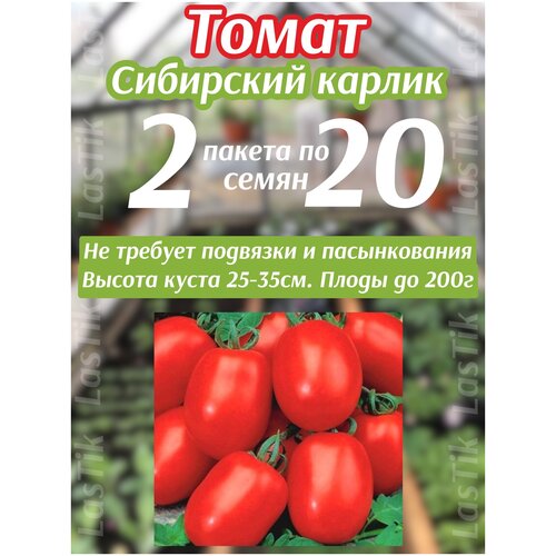 Томат Сибирский карлик 2 пакета по 20шт семян