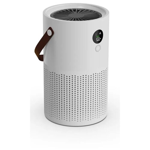 Очиститель воздуха Dipole Hion Четыре ступени фильтрации префильтр угольный фильтр HEPA H12 ионизация Аккумулятор 10 000 мАч 630000₽