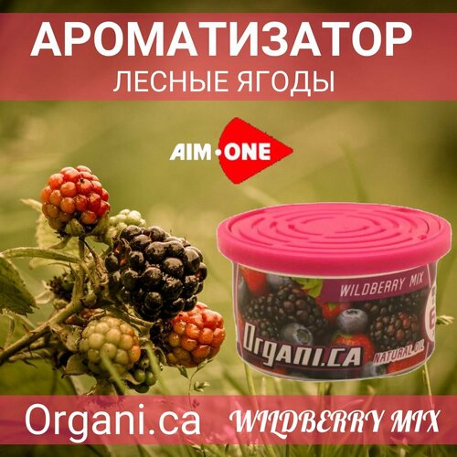 Ароматизатор для автомобиля автопарфюм аромат Лесных ягод AIM-ONE Лесные ягоды 390₽