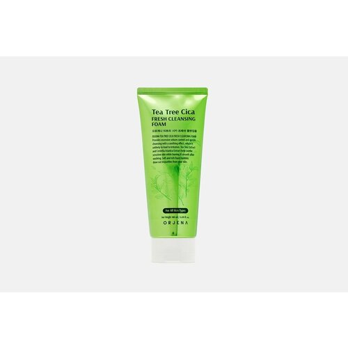 Пенка для умывания с экстрактом чайного дерева ORJENA TEA TREE CICA FRESH CLEANSING FOAM