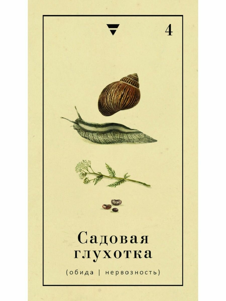 Оракул Сад Гекаты. О болезнях тела и души. 50 карт - фото №7