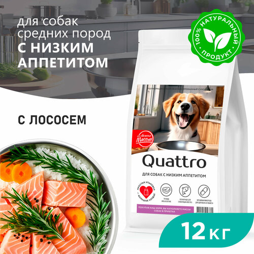 Корм сухой для взрослых собак средних пород, премиум полнорационный комплекс, низкий аппетит, с лососем, 12 кг, QUATTRO