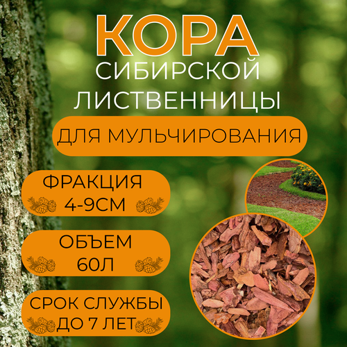 Кора сибирской лиственницы, фракция крупная, 60л кора сибирской лиственницы 3 7 см 1 мешок 7 кг