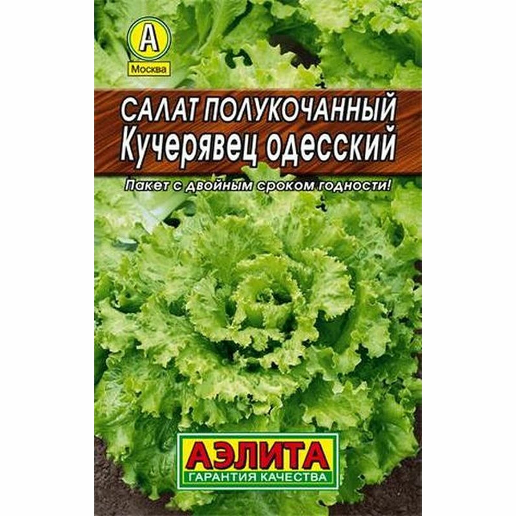 Семена Салат Кучерявец Одесский позднеспелый полукочанный (цветной пакет) (Аэлита) 05г