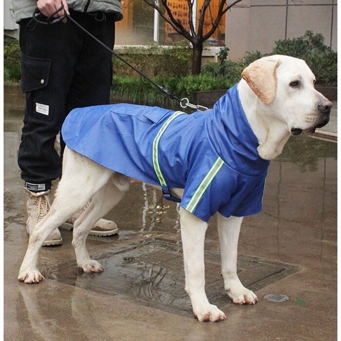 Куртка для собак, с подкладом, размер XL, ДС 40, ОГ 56 см, вес 10-18 кг, синяя