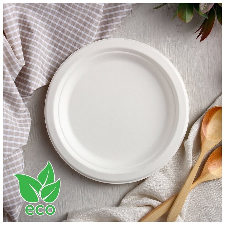 Тарелка одноразовая ECO d=17 2 см круглая из сахарного тростника цвет белый