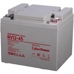 CyberPower Professional series RV 12-45 - изображение