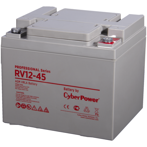 CyberPower Professional series RV 12-45 cyberpower professional series rv 12 12