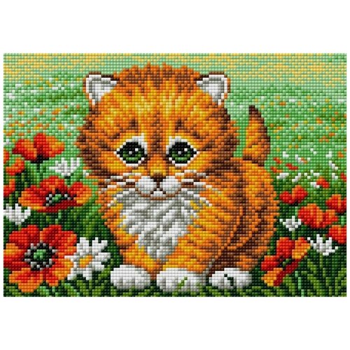 Алмазная мозаика Рыжий котенок, 20x28 см, Вышиваем бисером