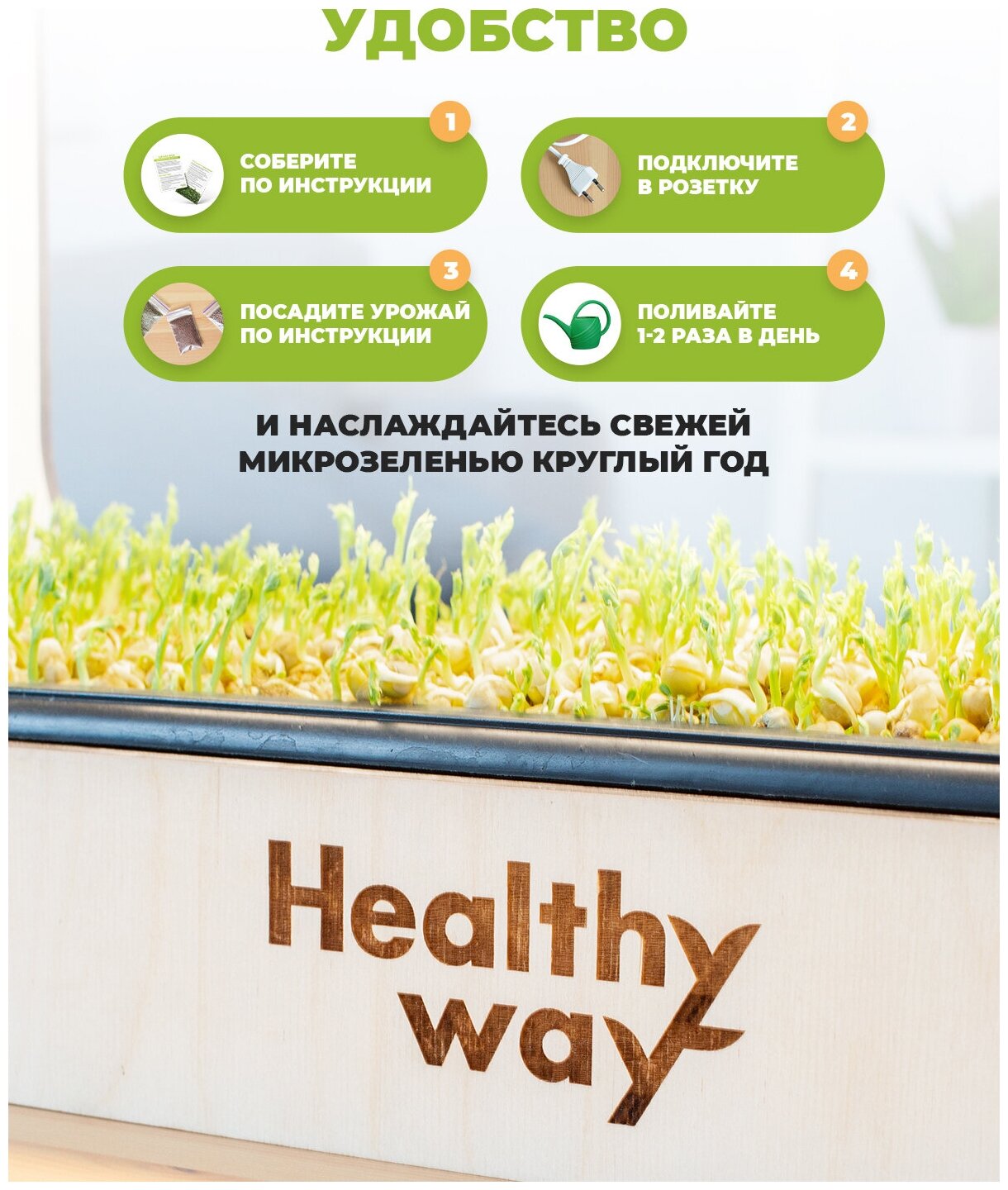Healthy Way Набор для выращивания микрозелени дома Grass Box. Стеллаж для проращивания рассады и цветов на подоконнике - фотография № 5