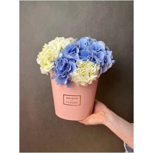 Композиция, цветы в розовой коробке MINI с белой и голубой гортензией