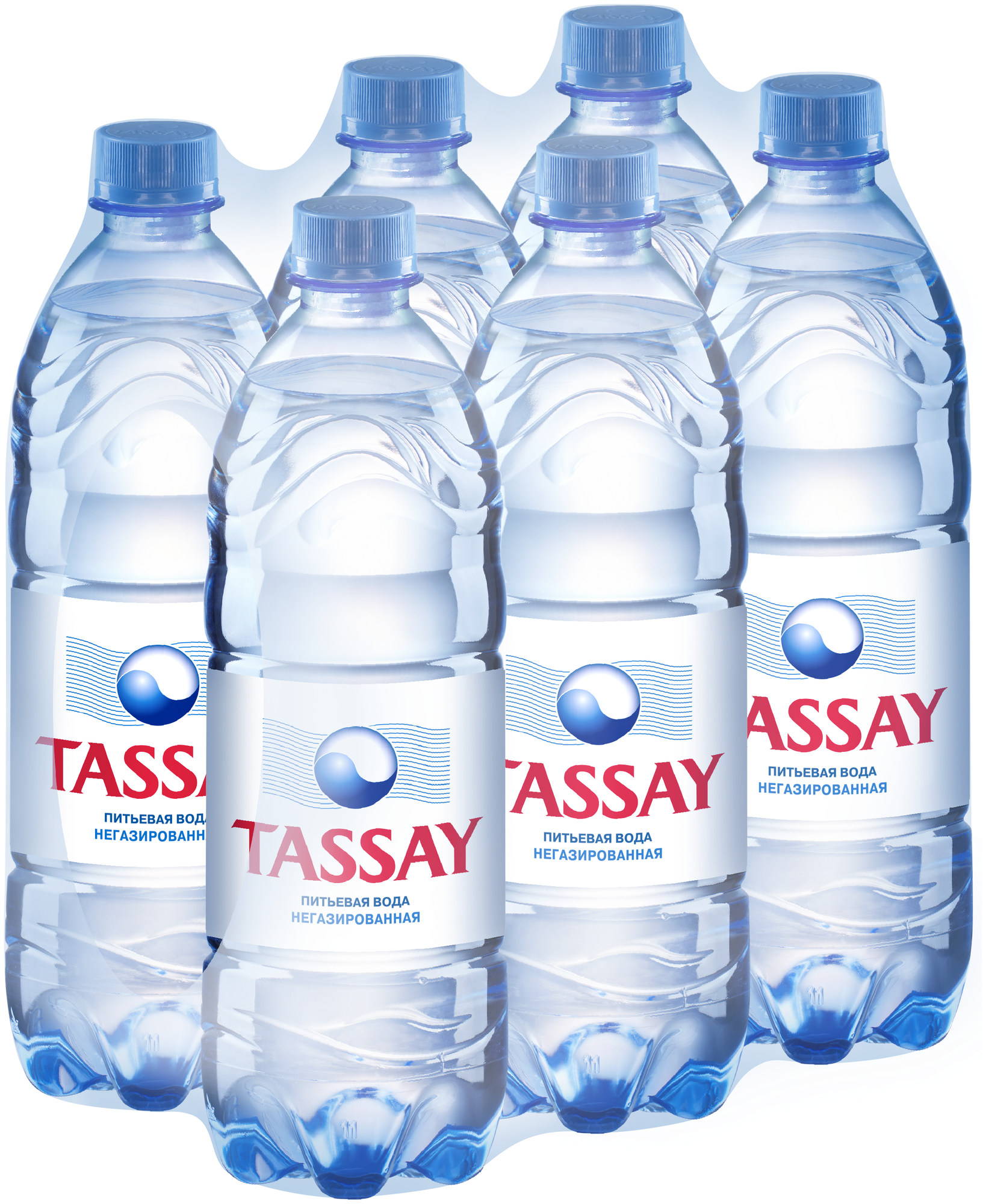 Вода питьевая TASSAY негазированная, ПЭТ, 6 шт. по 1 л