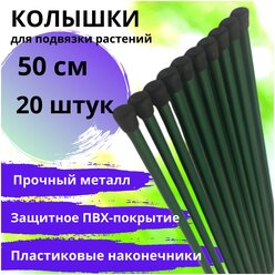 Колышки садовые для растений металлические (набор 20 шт. по 0,5 м / 50 см) для подвязки, опоры, поддержки томатов, огурцов, цветов и других дачных растений