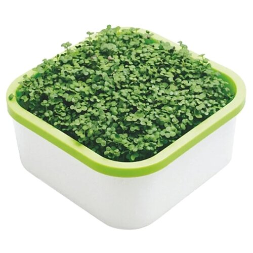 Здоровья КЛАД проращиватель для микрозелени, 0.9 л, 1 шт., белый/зеленый