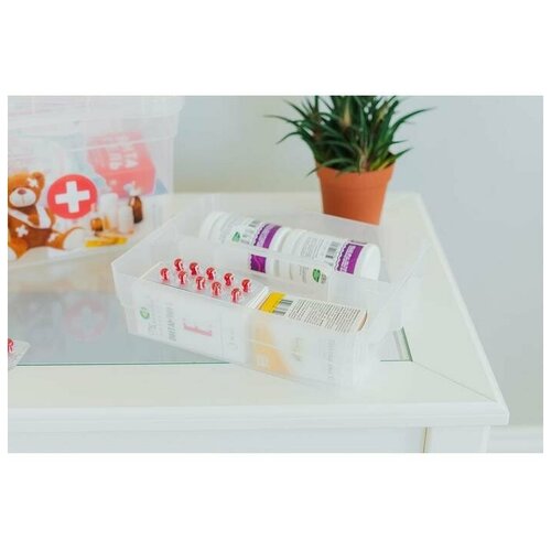 Контейнер-органайзер с крышкой «Аптечка», 5 л, 25×20×16 см, лоток органайзер S, цвет прозрачный