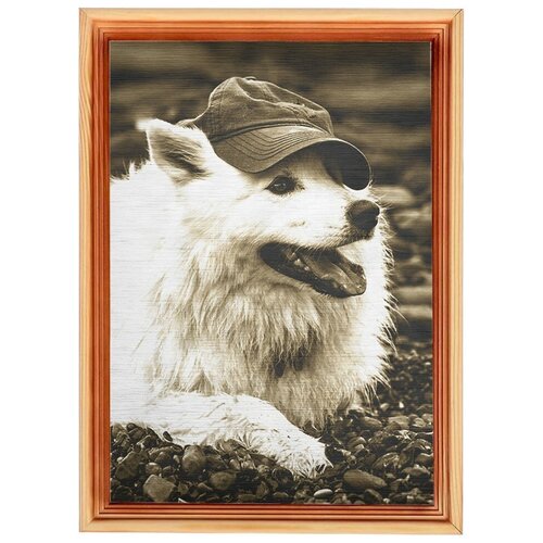 Картина в рамке 