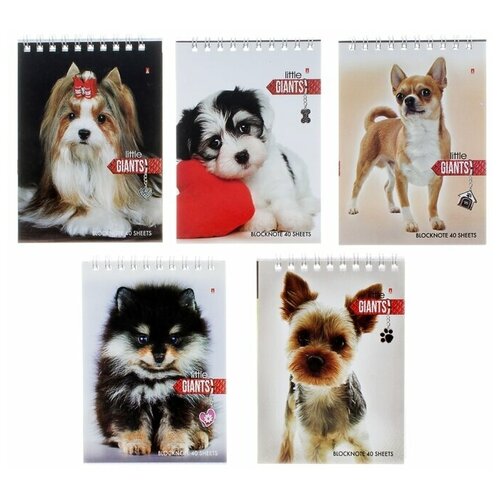 Блокнот ТероПром 515956, А6 40 листов на гребне "Собаки", обложка ламинированный картон, микс