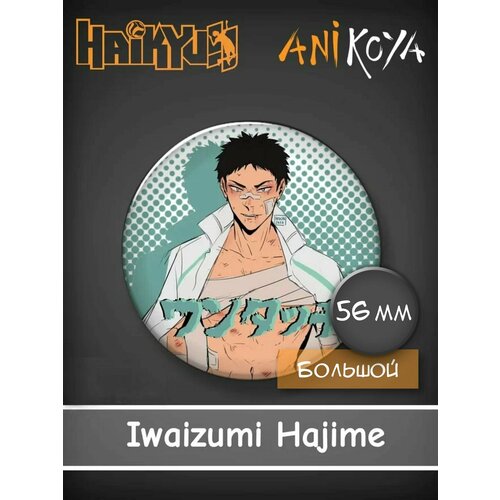 Значок AniKoya мягкая игрушка аниме волейбол haikyu хината шое