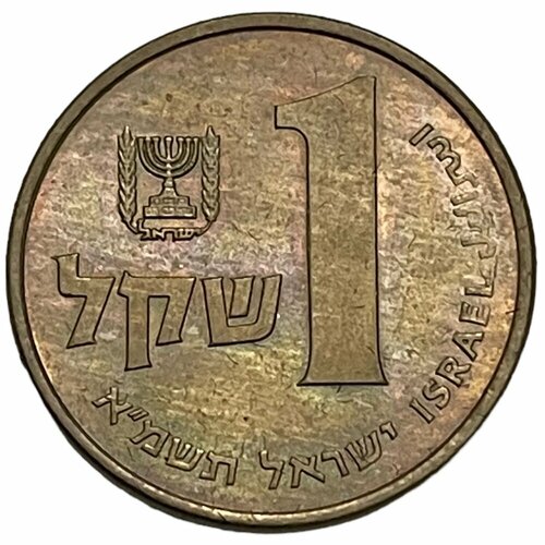 Израиль 1 шекель 1981 г. (5741) (4) израиль 1 шекель 1981 г 5741 2