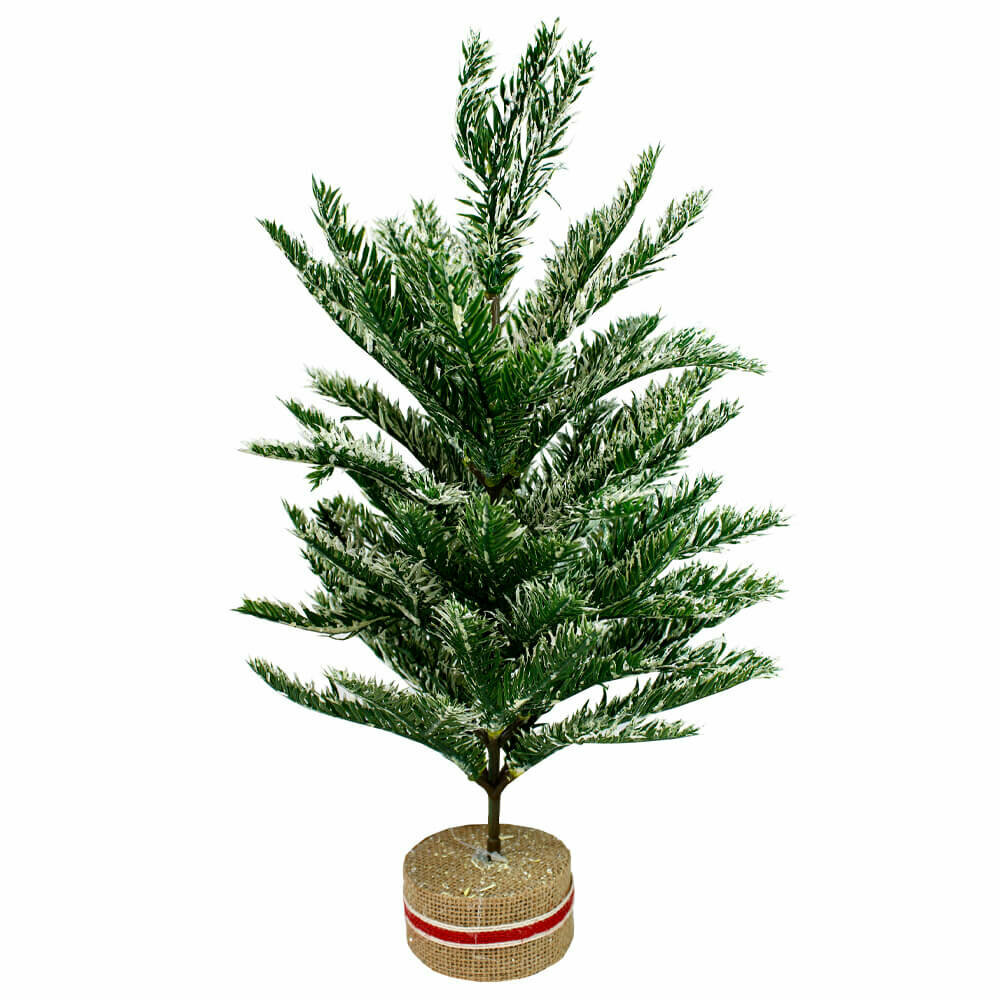 Ель декоративная там-там заснеженная 40 см x2814