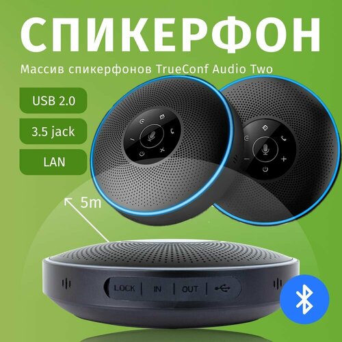 Массив спикерфонов TrueConf Audio Two