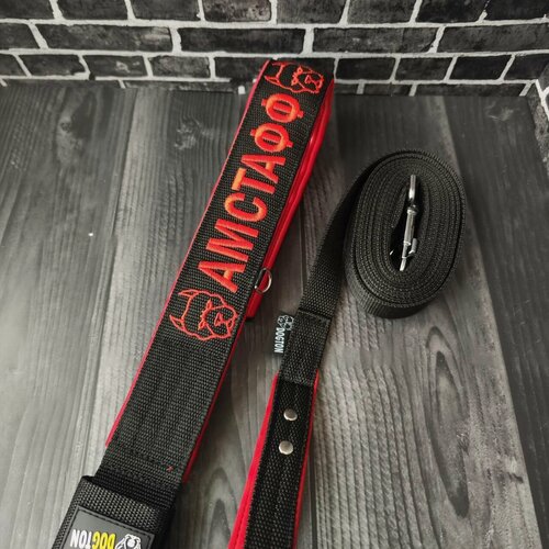 Изображение товара Комплект ошейник с вышивкой и поводок 1.5 метра. Для собак средних и крупных пород. Ширина ошейника 5.5 см. Обхват шеи 43-57 см.