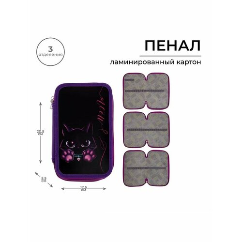 Пенал 3 секции Кoтик ламинированный картон 864₽