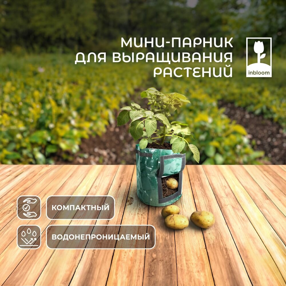 фото Вазон для выращивания растений на липучке, 34х29 см, PE