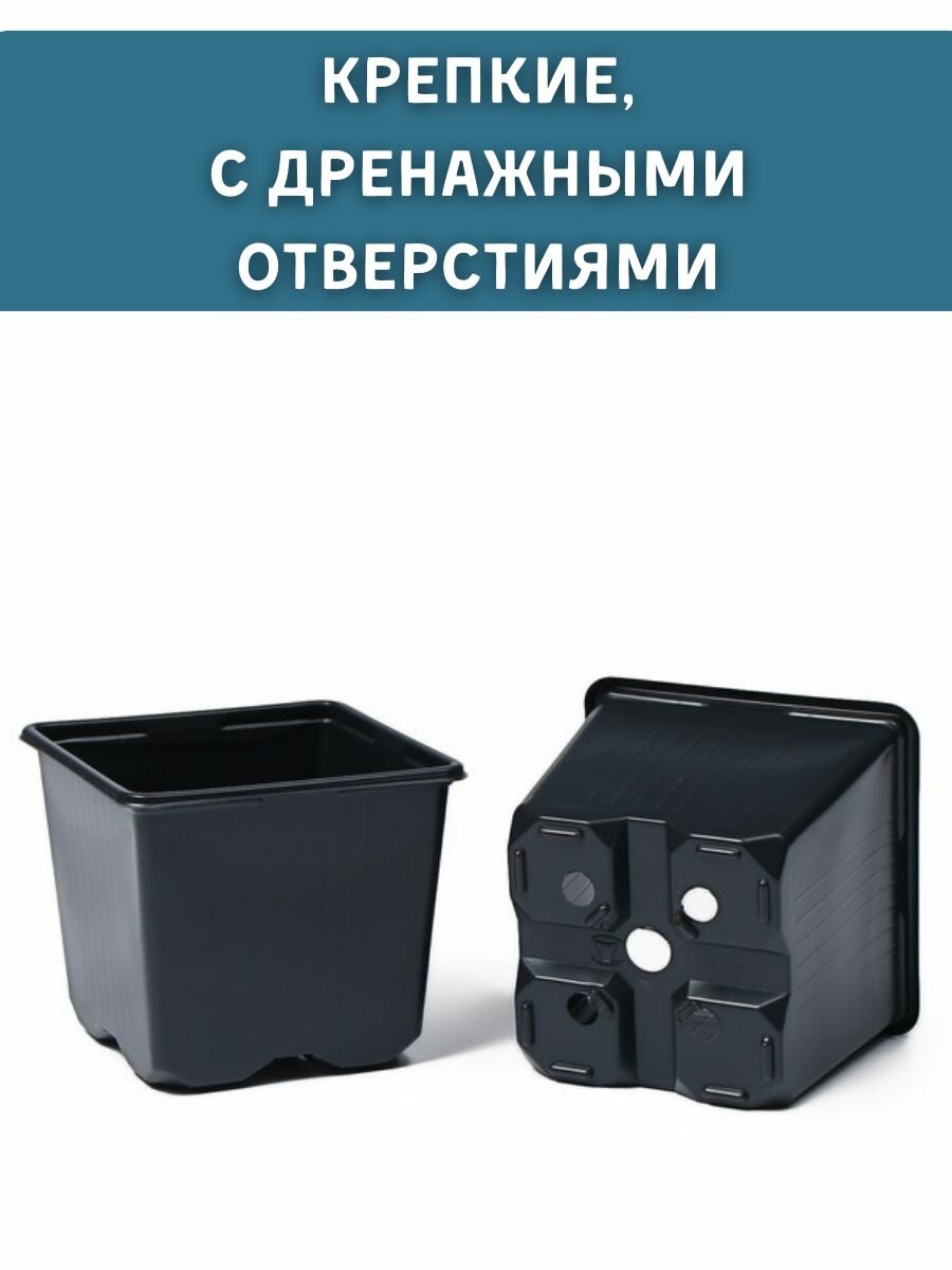 Горшки для рассады 10 штук — фото 1